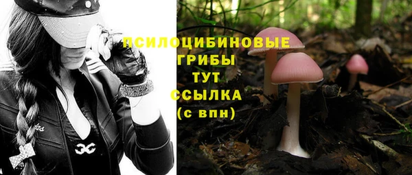 мескалин Куйбышев