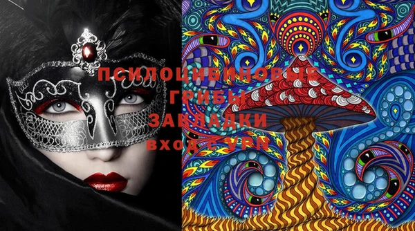 дживик Великий Новгород