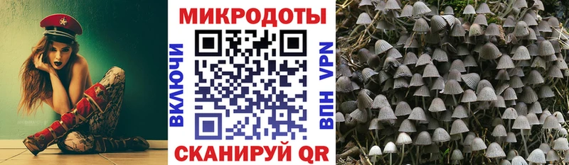 Галлюциногенные грибы Cubensis  Барабинск 