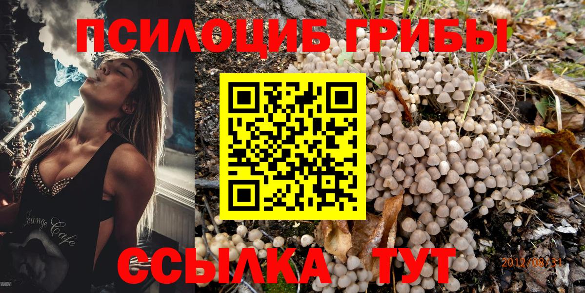 Галлюциногенные грибы прущие грибы Барабинск