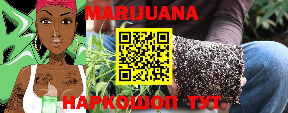 Конопля ГИДРОПОН  Конопля планчик  Вход с VPN  Марихуана тримм  Барабинск 
